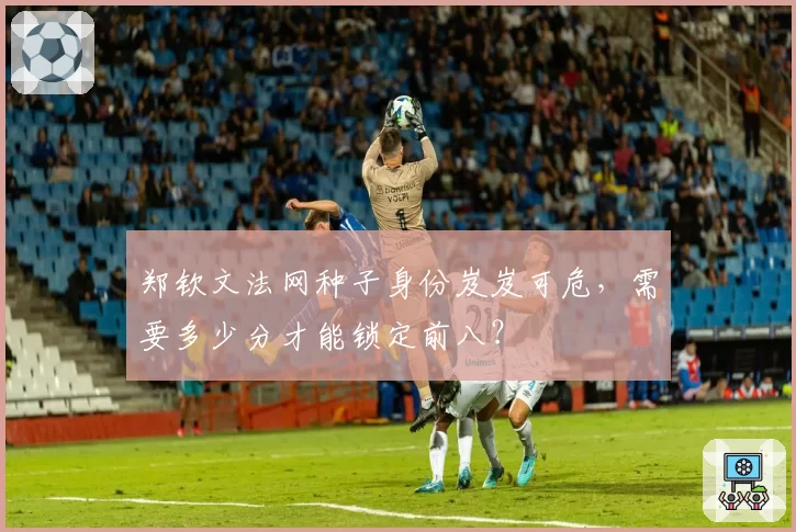 郑钦文法网种子身份岌岌可危，需要多少分才能锁定前八？