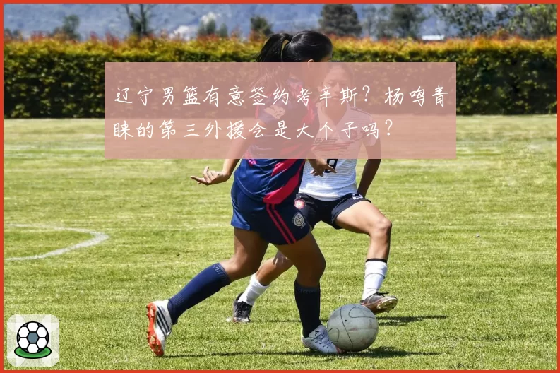 辽宁男篮有意签约考辛斯？杨鸣青睐的第三外援会是大个子吗？